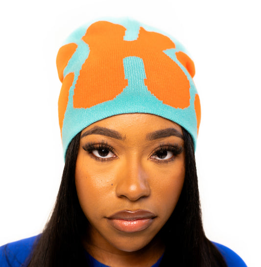 Teal/Orange Beanie